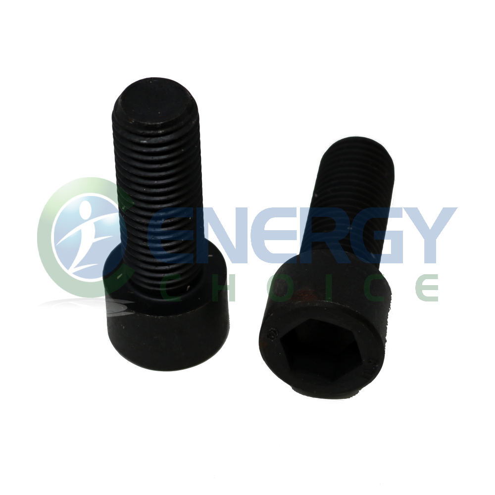 Cylinder Screw, Jenbacher, 456633